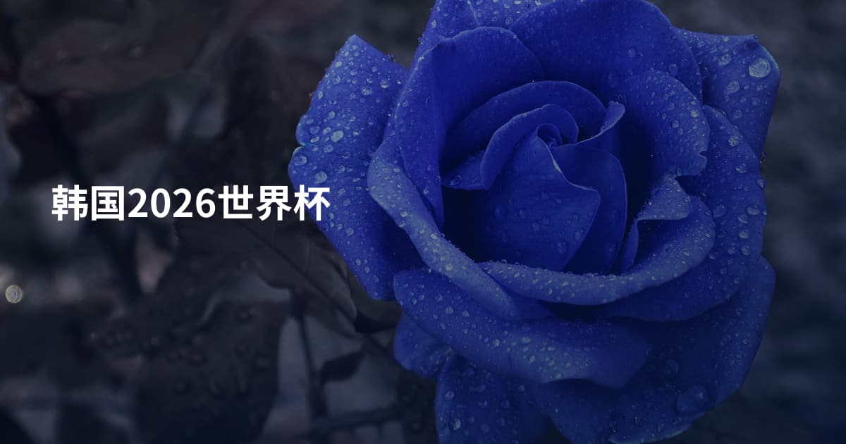 韩国2026世界杯