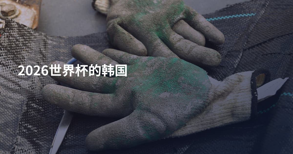 2026世界杯的韩国