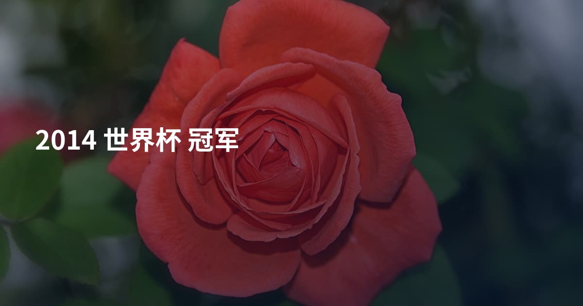 2014 世界杯 冠军