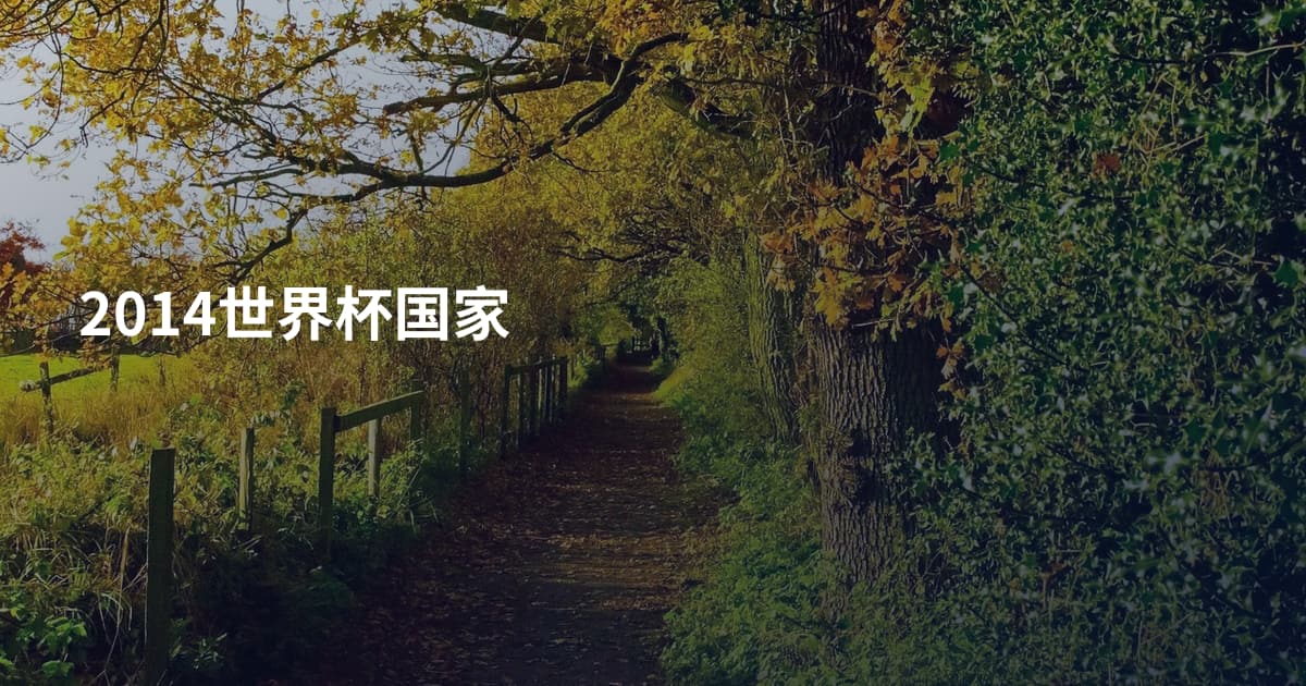 2014世界杯国家