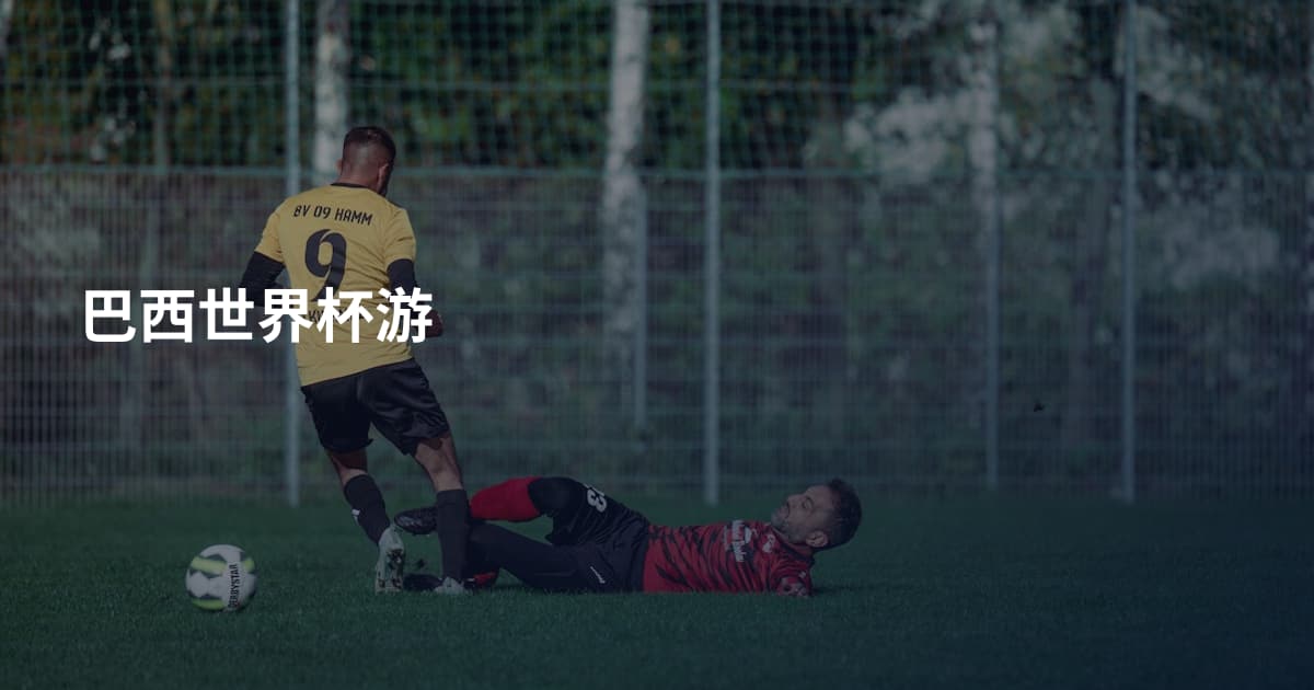 巴西世界杯游