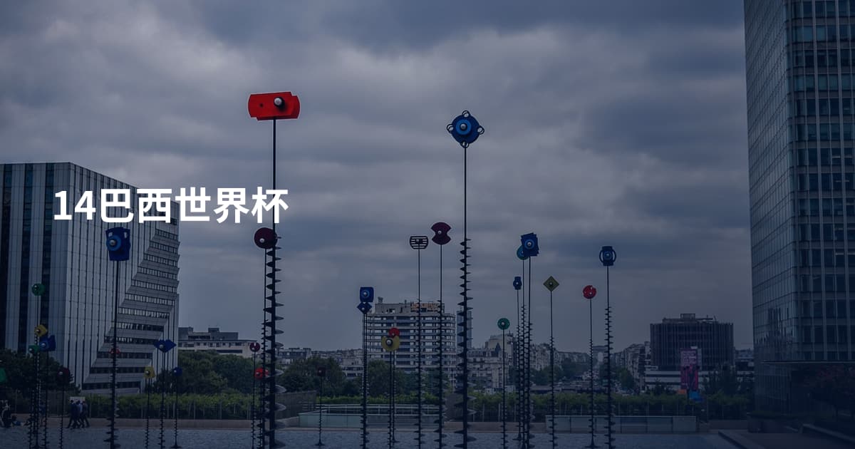 14巴西世界杯