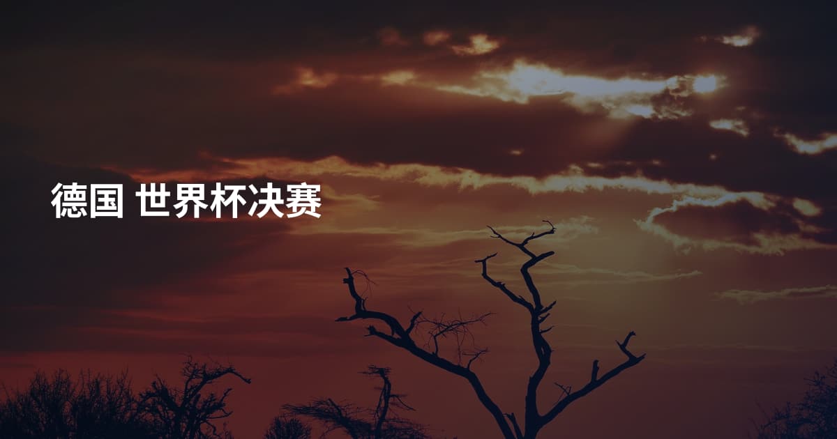 德国  世界杯决赛