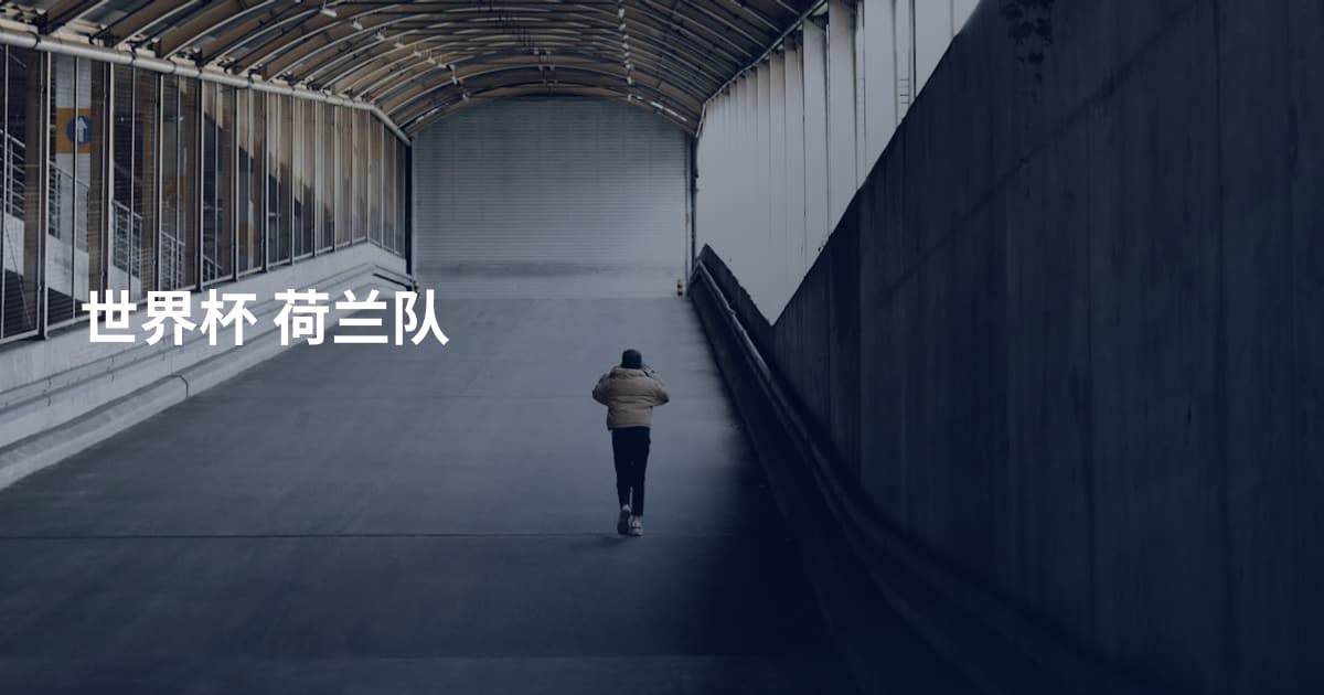 世界杯 荷兰队