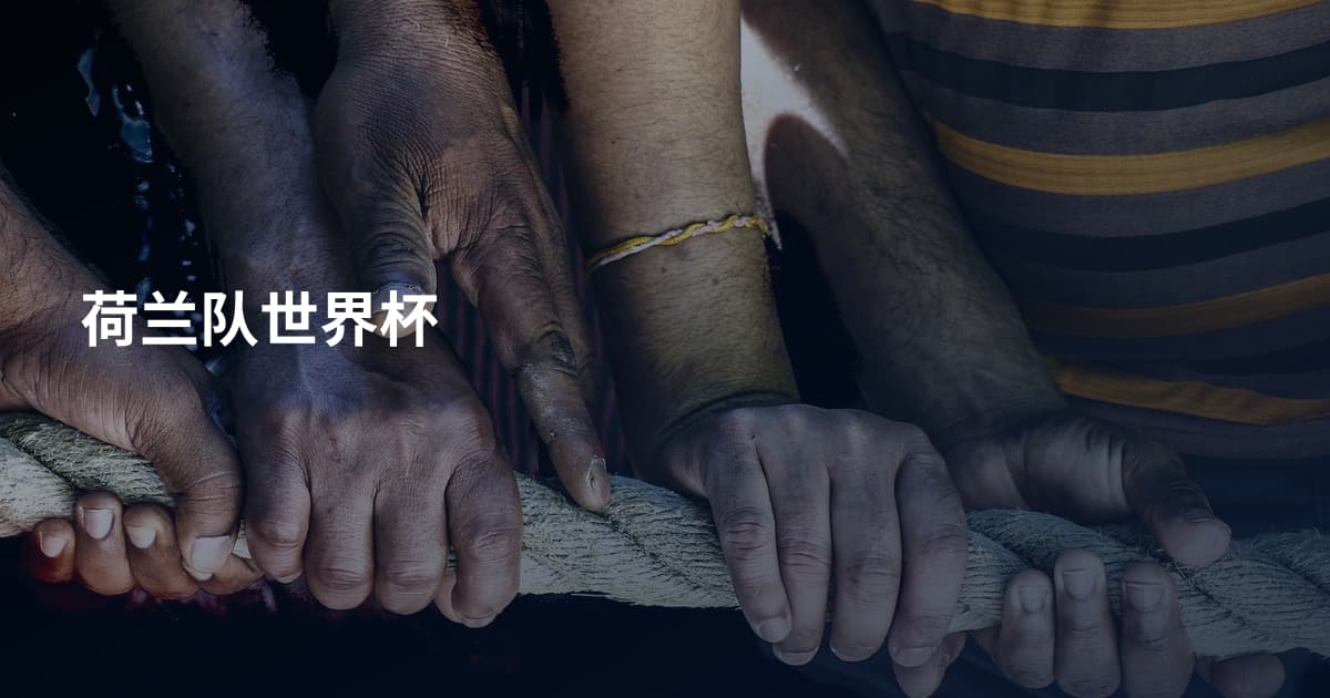 荷兰队世界杯
