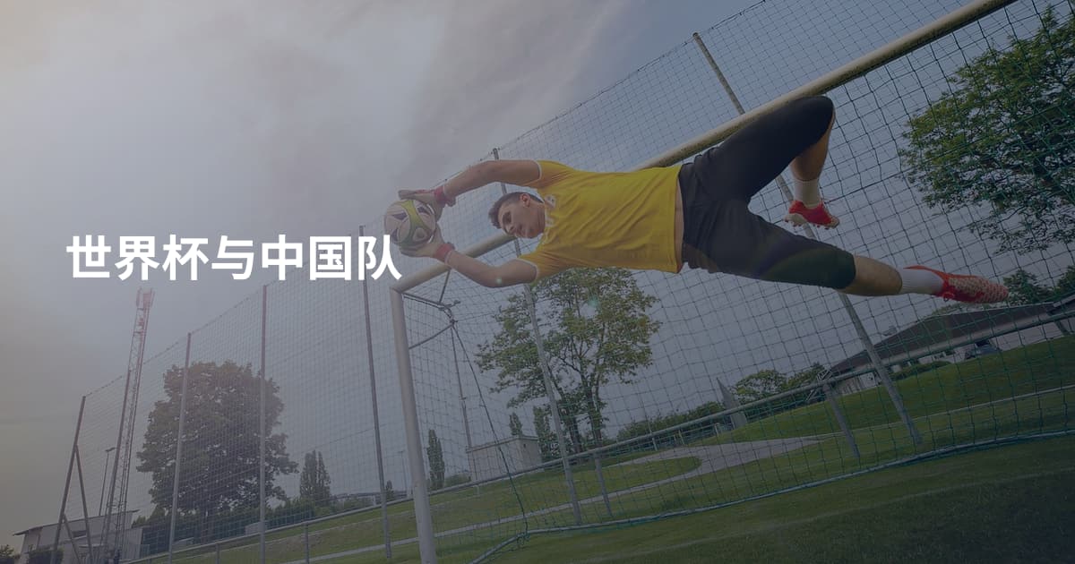 世界杯与中国队