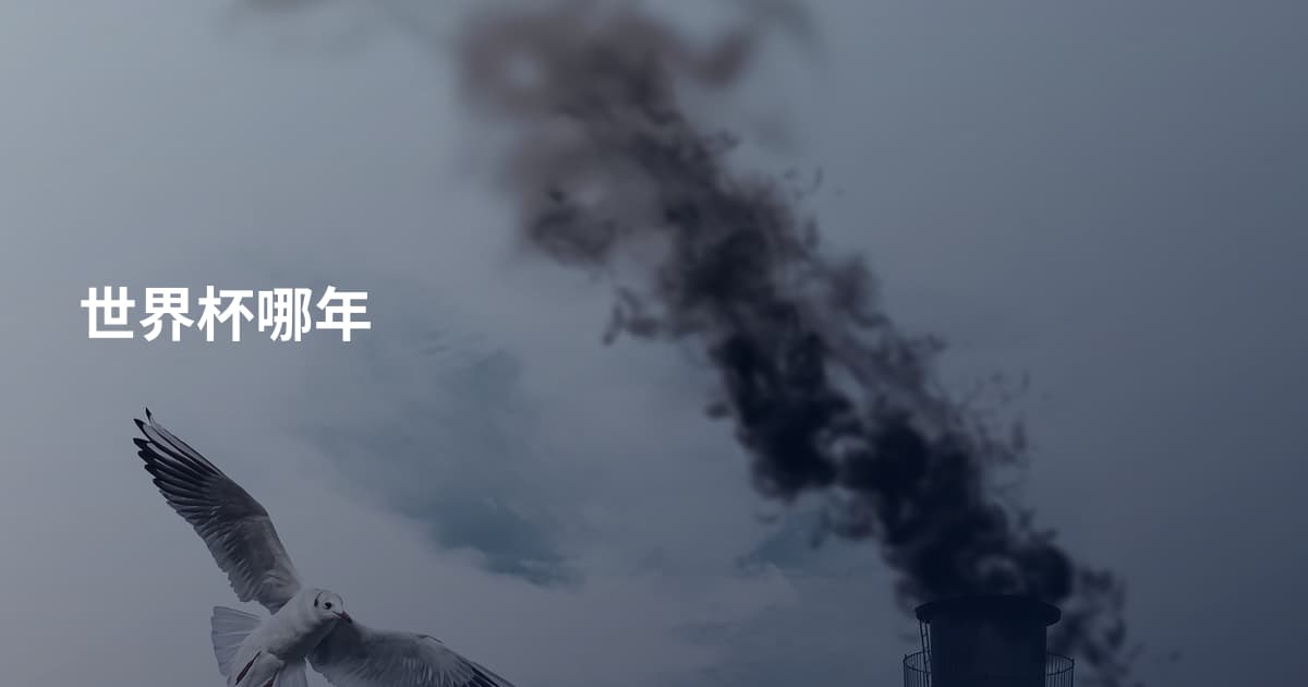世界杯哪年