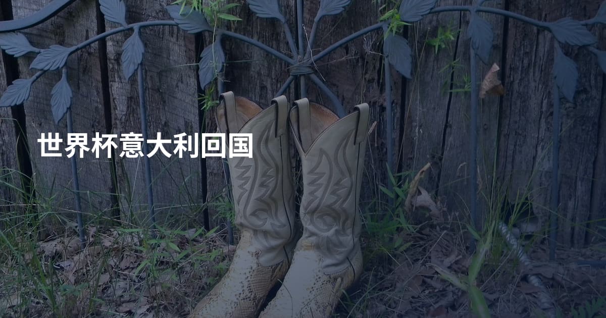 世界杯意大利回国