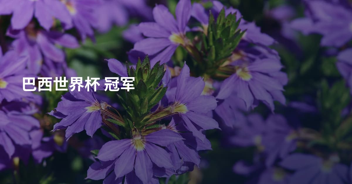 巴西世界杯 冠军