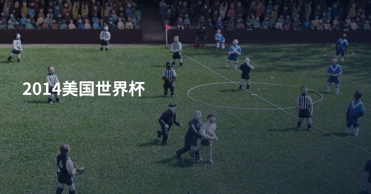 2014美国世界杯