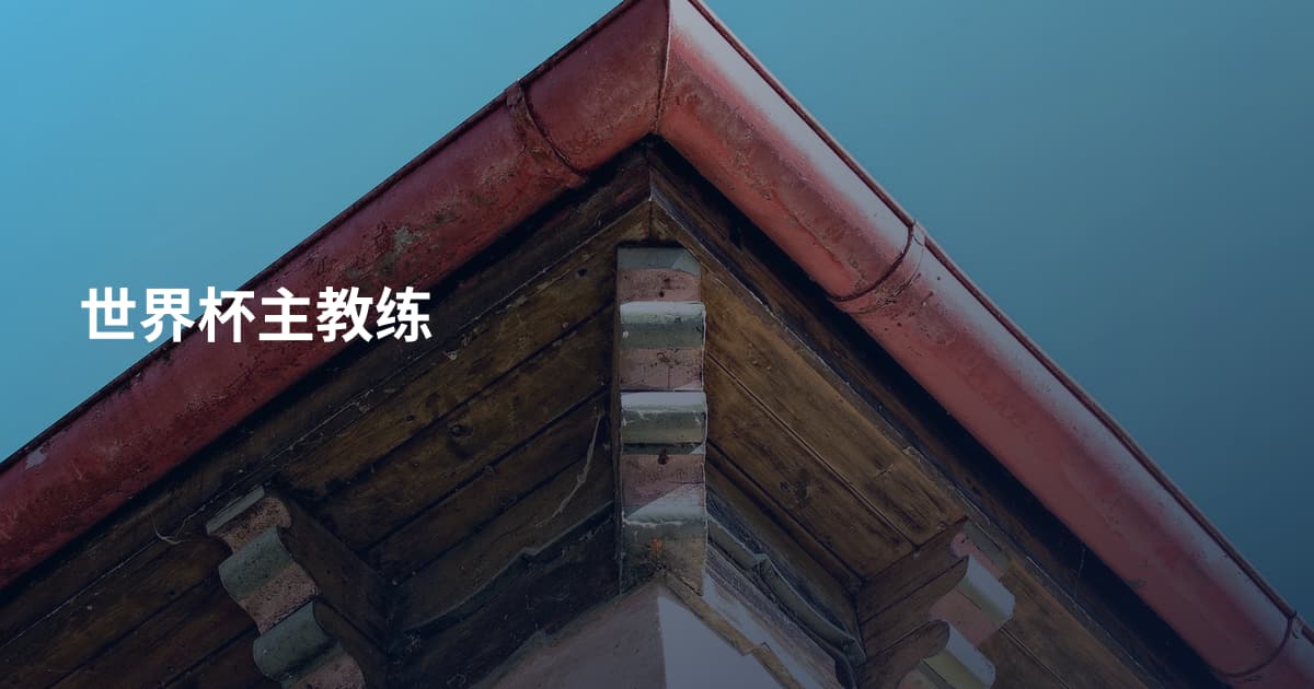 世界杯主教练