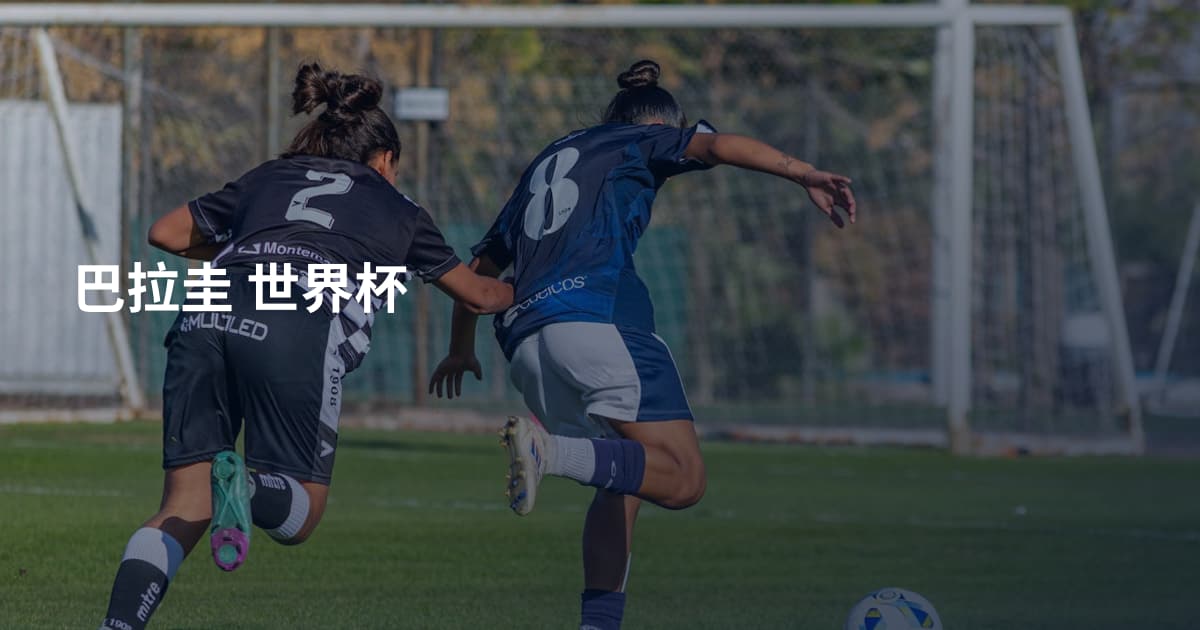 巴拉圭 世界杯