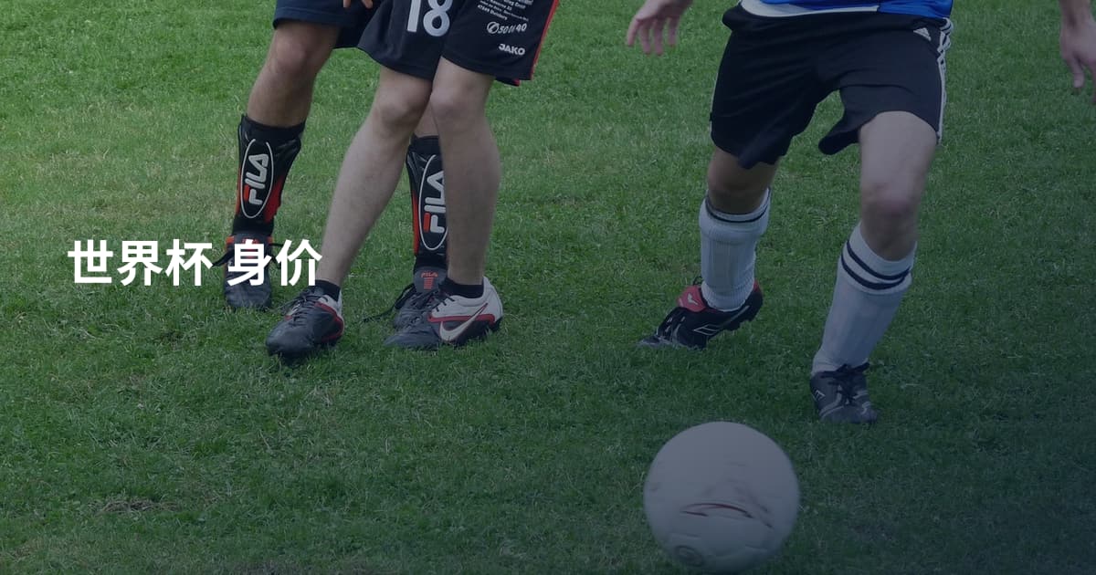 世界杯 身价