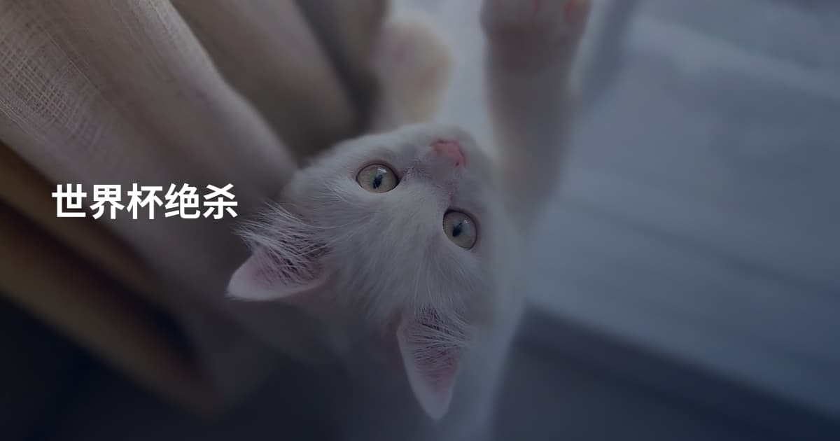世界杯绝杀