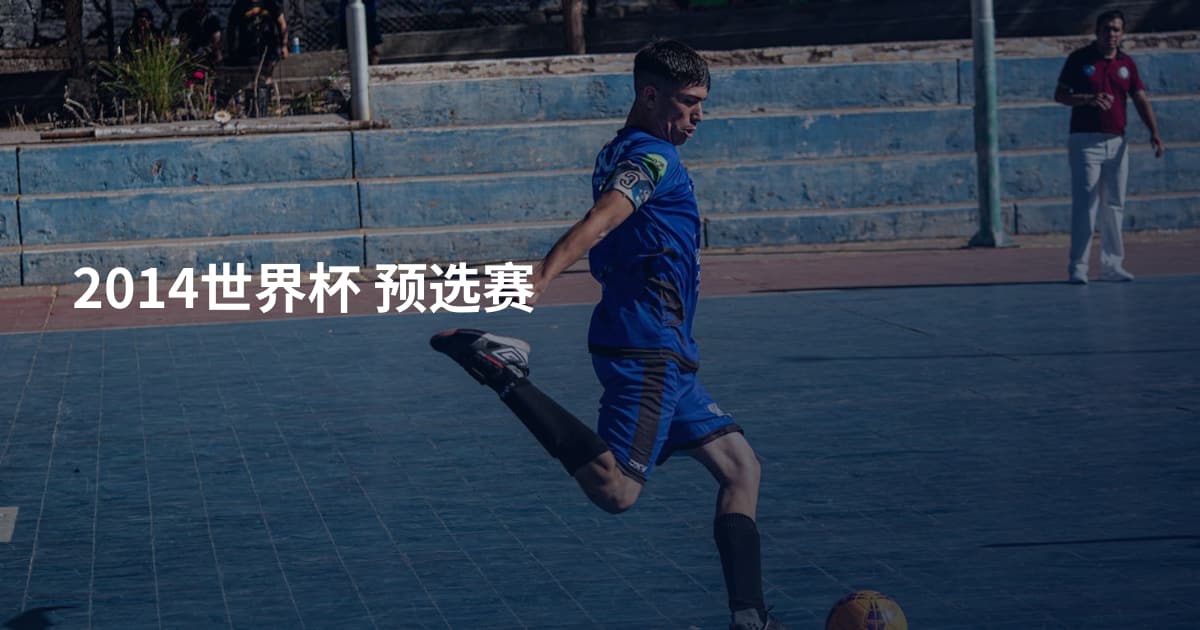 2014世界杯 预选赛