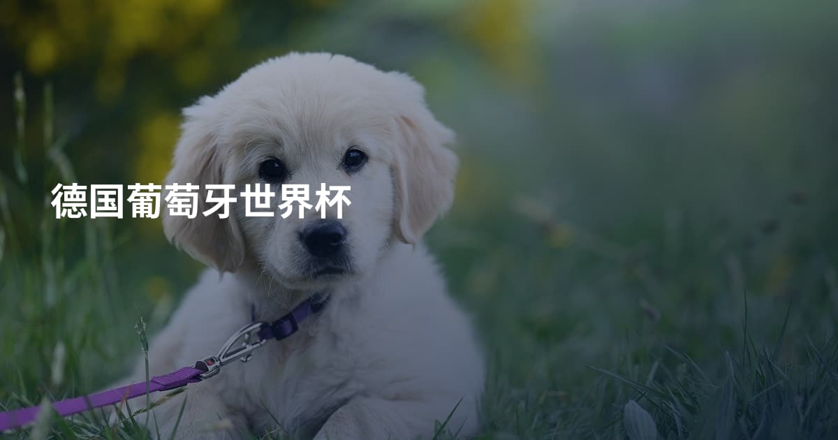 德国葡萄牙世界杯