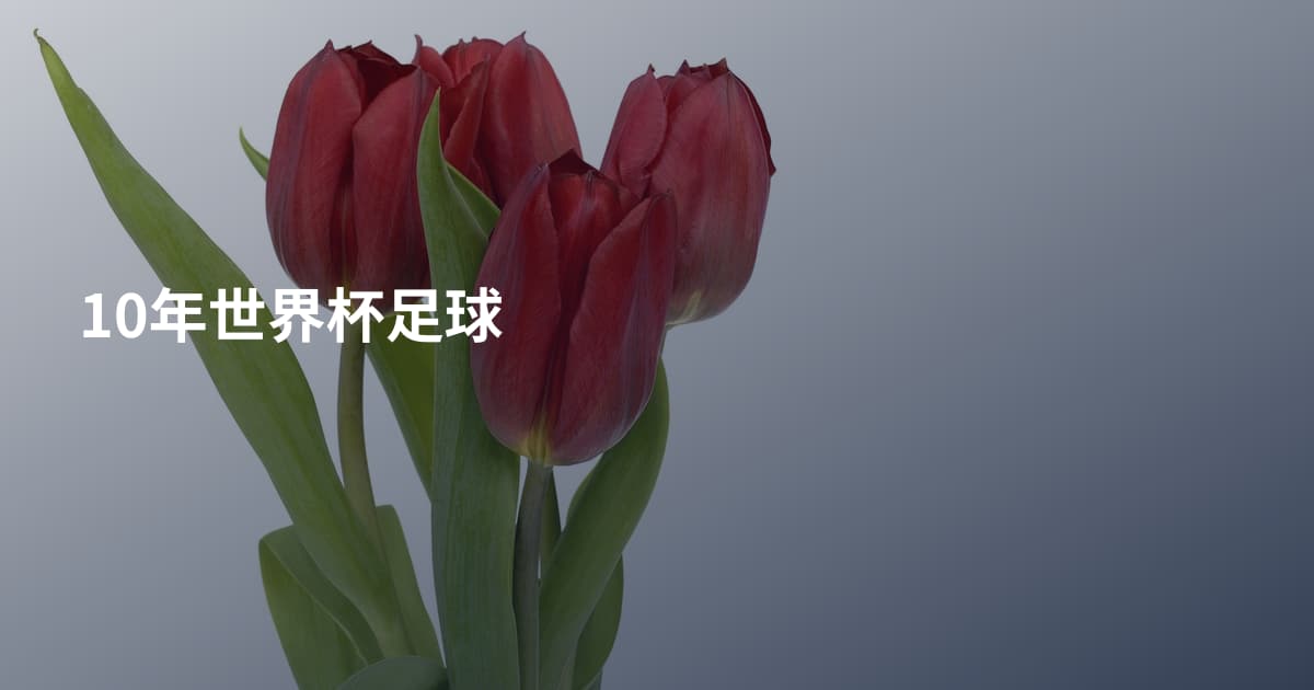 10年世界杯足球