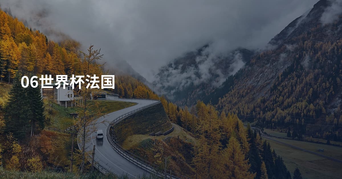 06世界杯法国