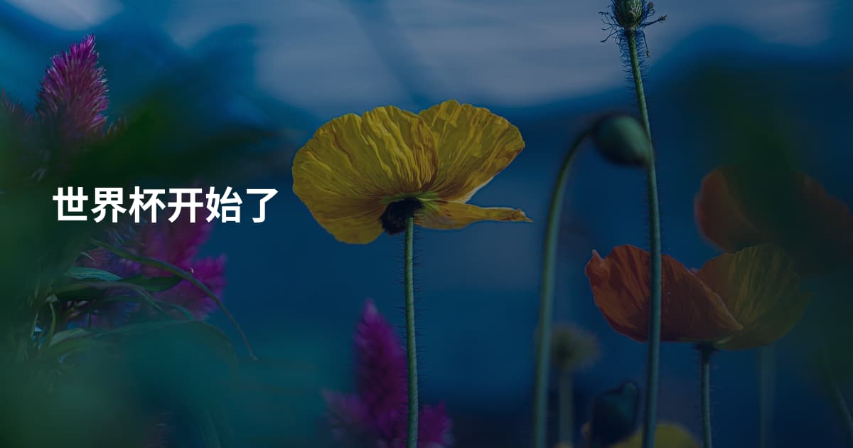 世界杯开始了