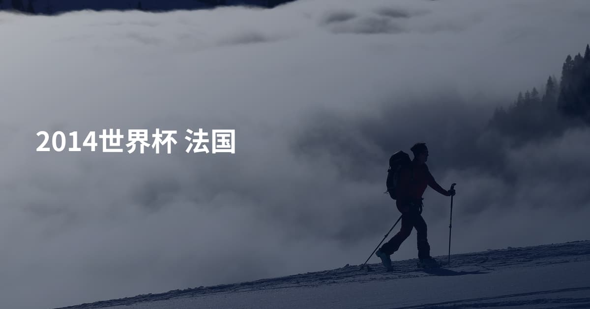 2014世界杯 法国