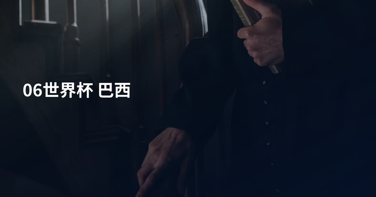 06世界杯 巴西
