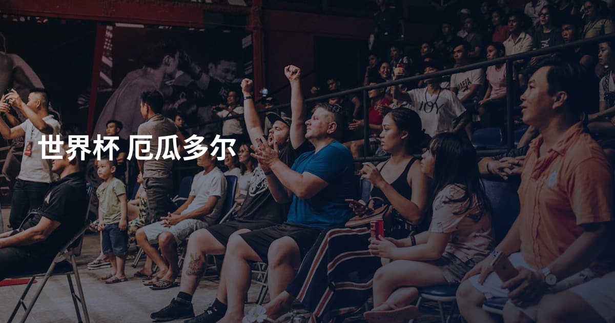 世界杯 厄瓜多尔