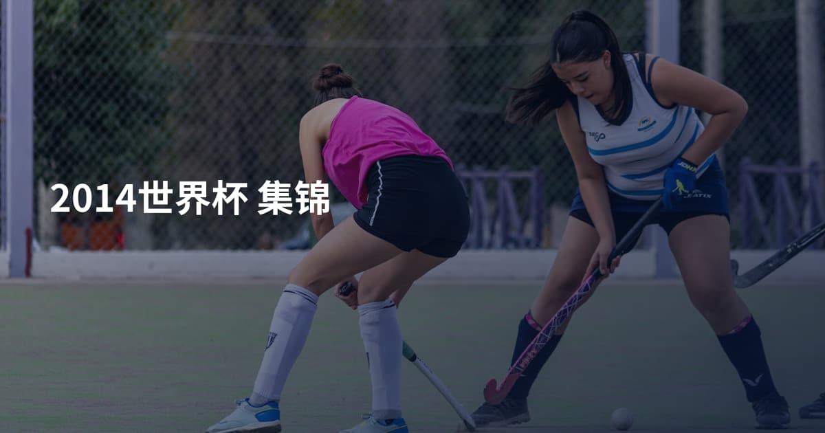 2014世界杯 集锦
