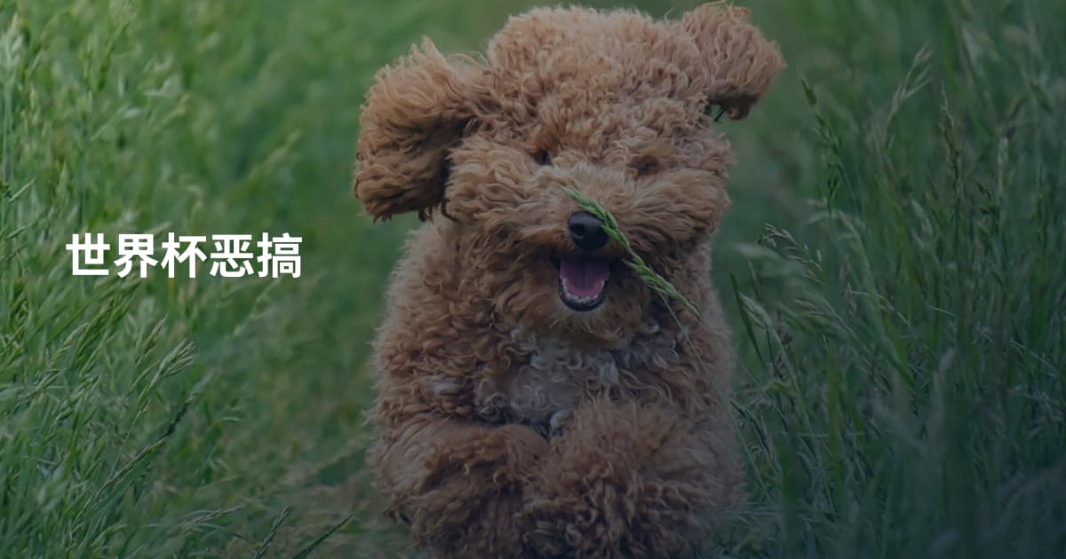 世界杯恶搞