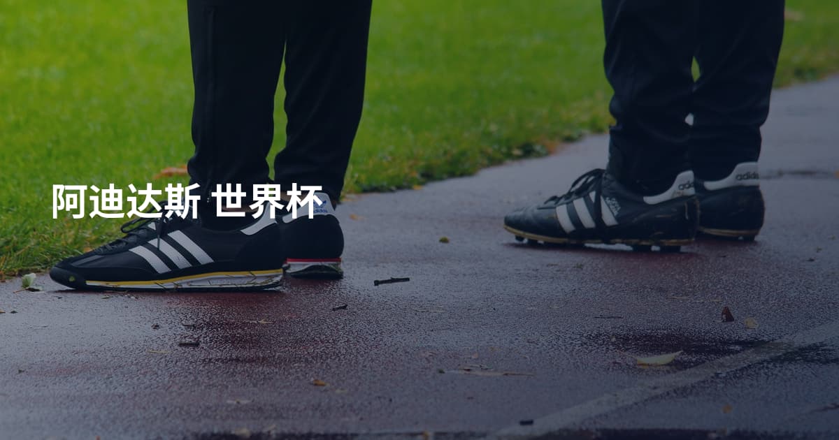 阿迪达斯 世界杯