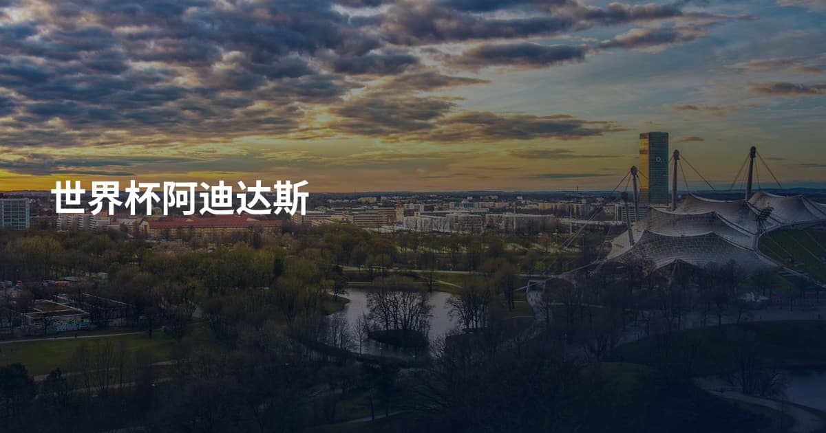 世界杯阿迪达斯