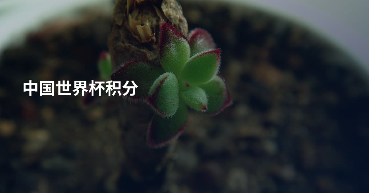 中国世界杯积分