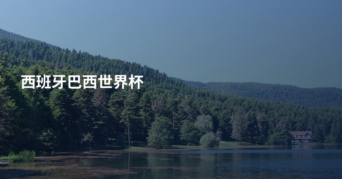 西班牙巴西世界杯