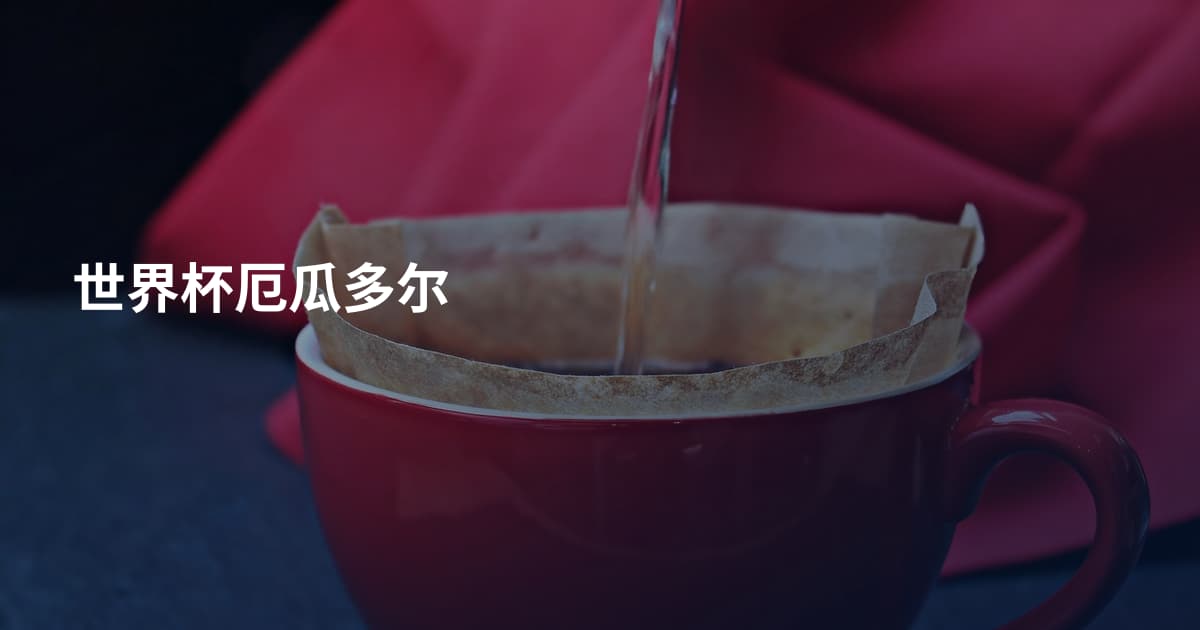 世界杯厄瓜多尔
