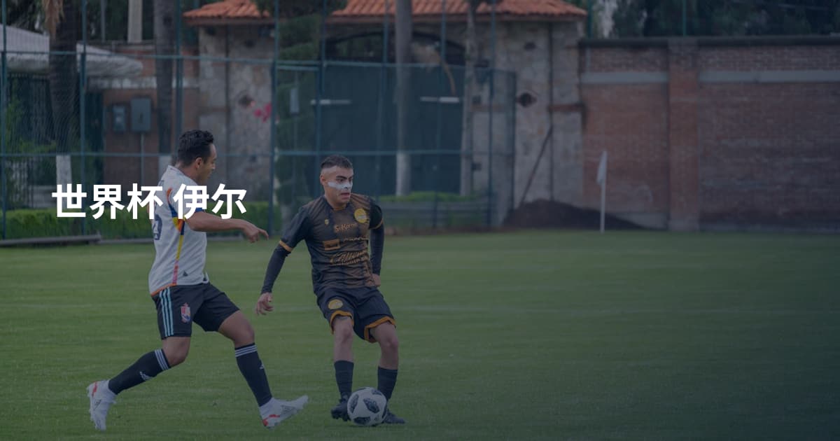 世界杯 伊尔