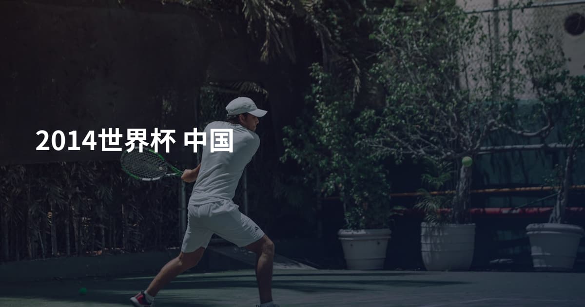 2014世界杯 中国