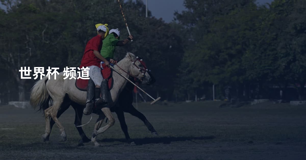 世界杯 频道
