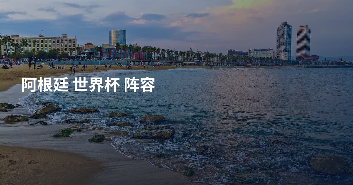 阿根廷 世界杯 阵容