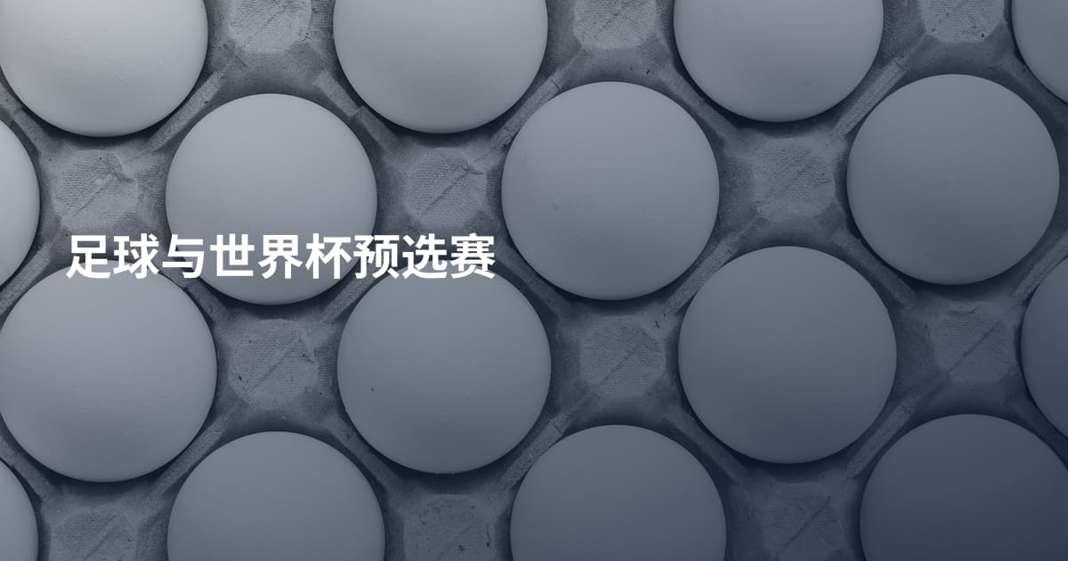 足球与世界杯预选赛
