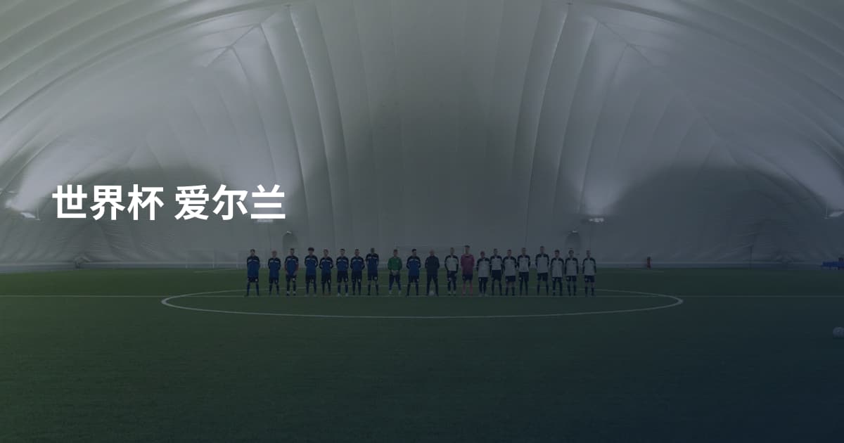 世界杯 爱尔兰