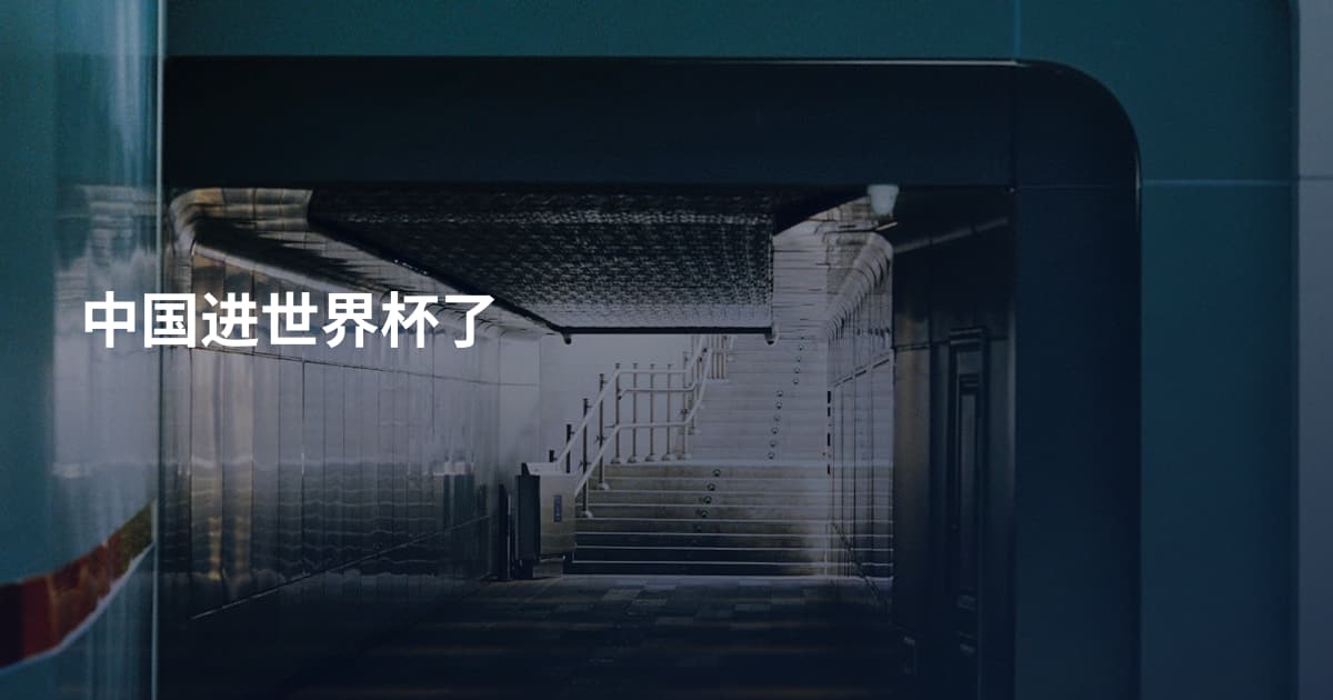 中国进世界杯了