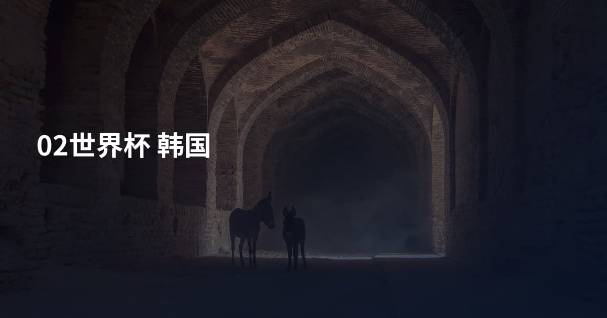 02世界杯 韩国