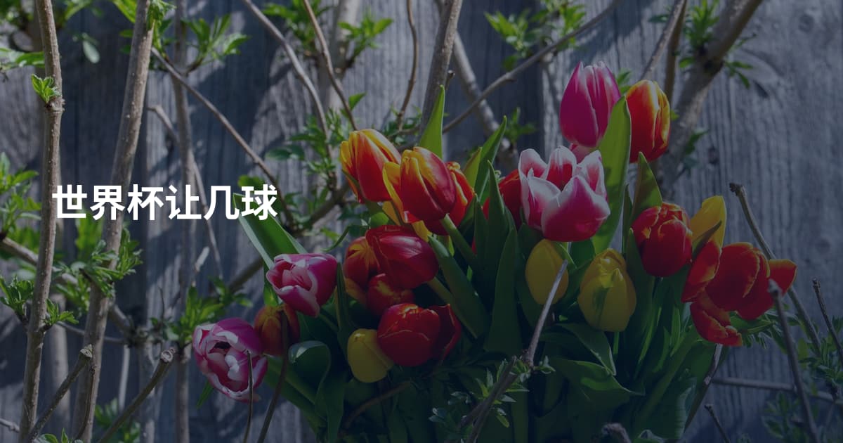 世界杯让几球