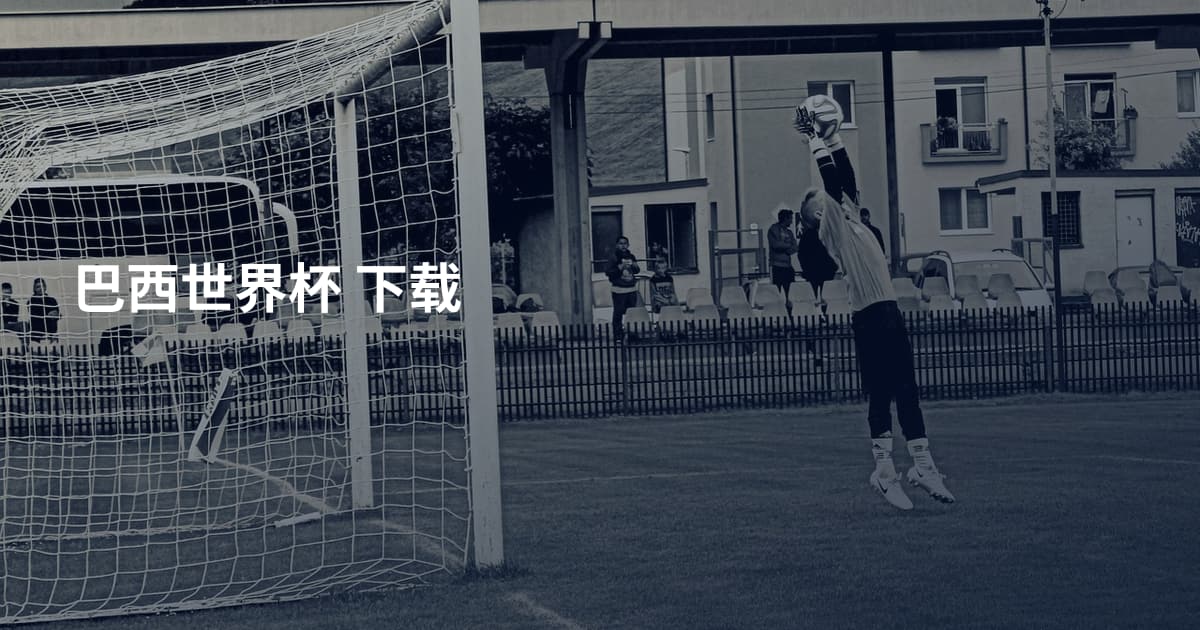 巴西世界杯 下载
