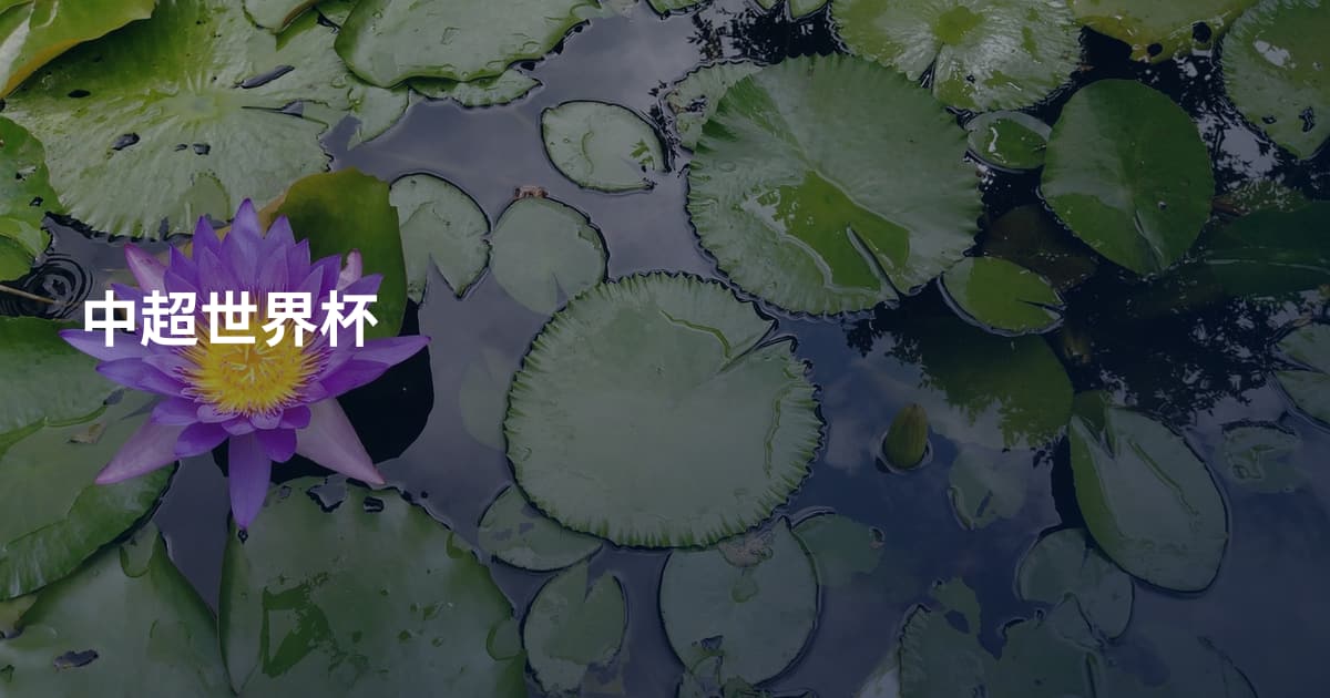 中超世界杯