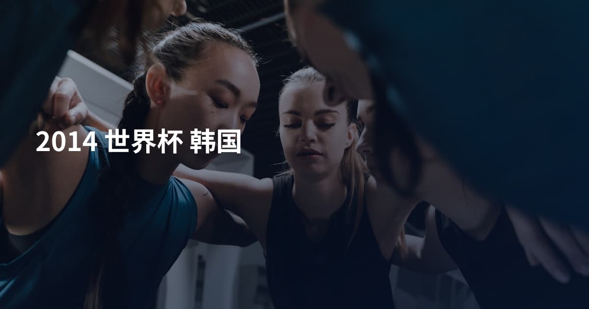 2014 世界杯 韩国