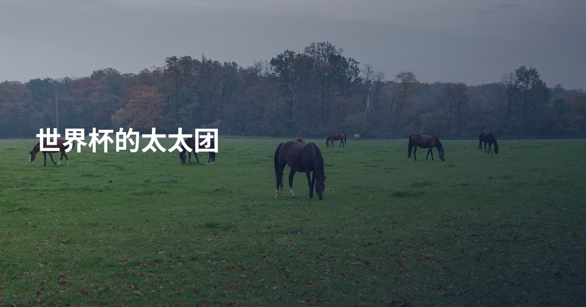 世界杯的太太团