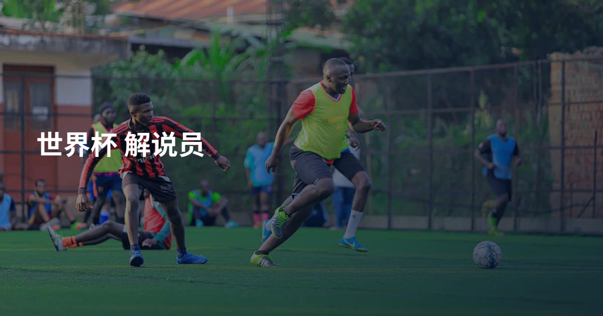 世界杯 解说员