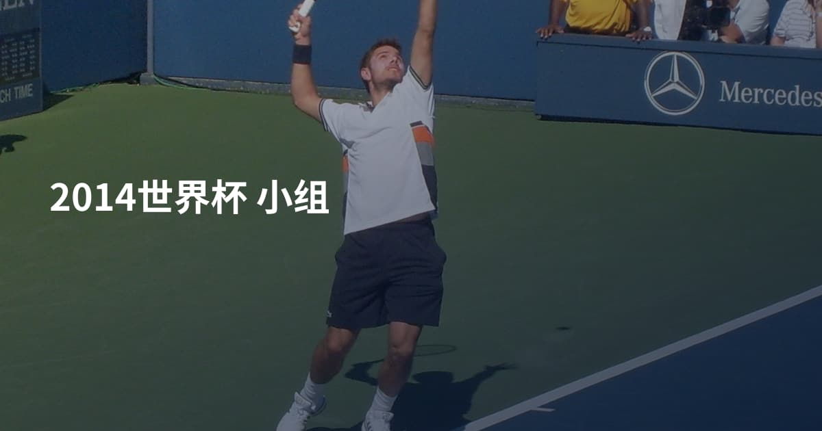 2014世界杯 小组