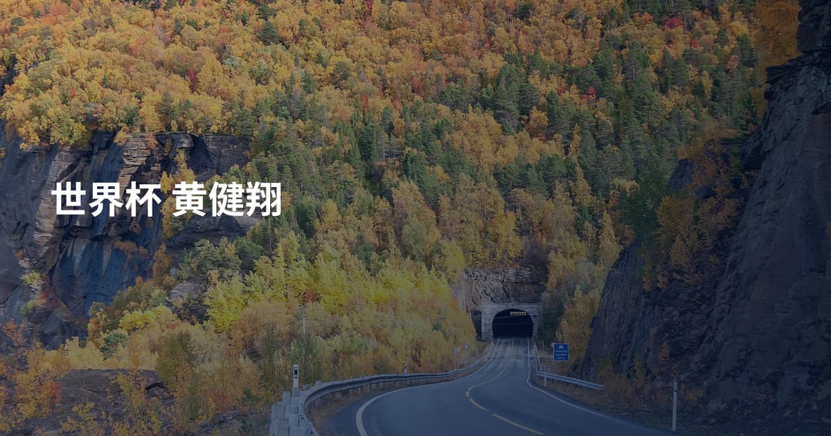 世界杯 黄健翔
