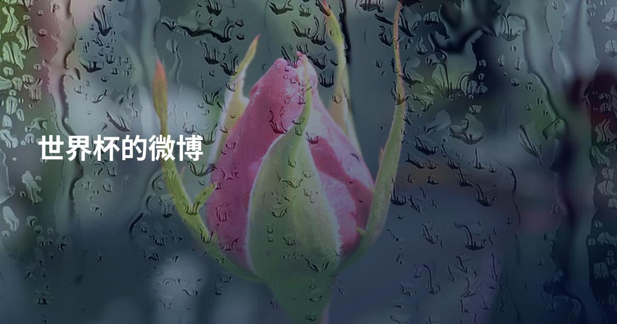 世界杯的微博